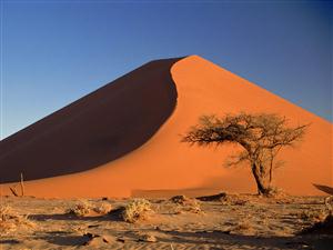 Reis Namibi� - Woestijn