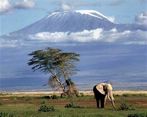 Rondreis Kilimanjaro