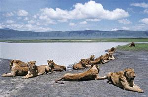 Tanzania - Ngorongoro Crater